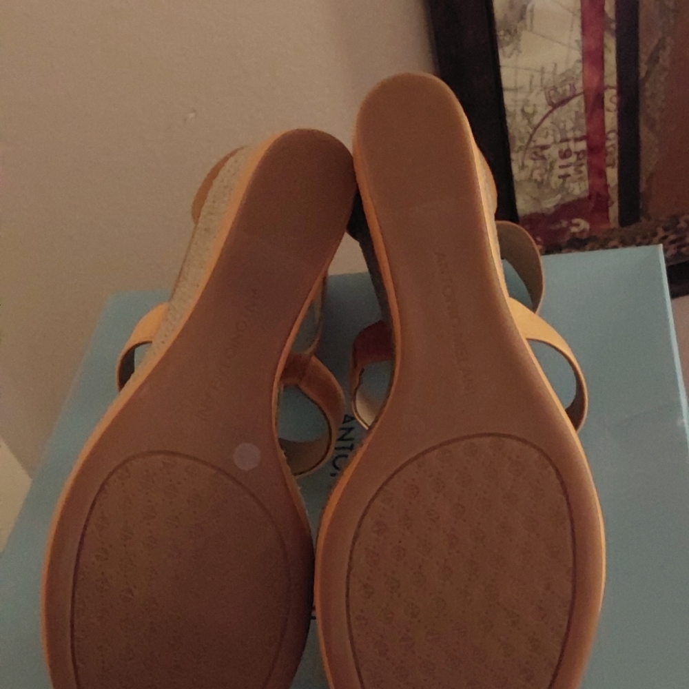 Wedges - Picture 4 of 5